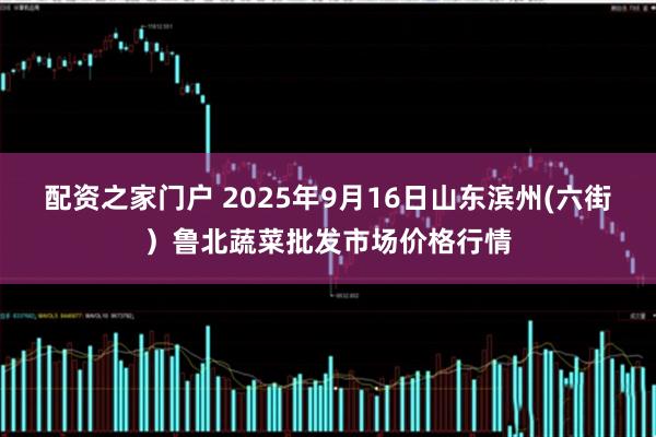 配资之家门户 2025年9月16日山东滨州(六街）鲁北蔬菜批发市场价格行情