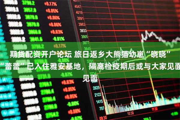 期货配资开户论坛 旅日返乡大熊猫幼崽“晓晓”“蕾蕾”已入住雅安基地，隔离检疫期后或与大家见面
