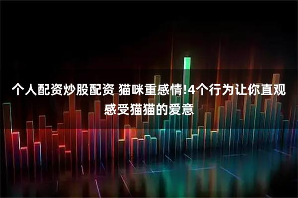 个人配资炒股配资 猫咪重感情!4个行为让你直观感受猫猫的爱意